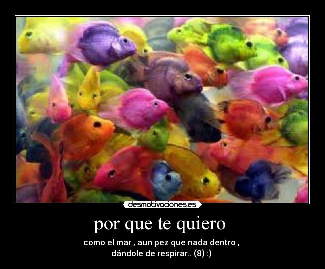 im-genes-y-carteles-de-jhgfdsa-desmotivaciones