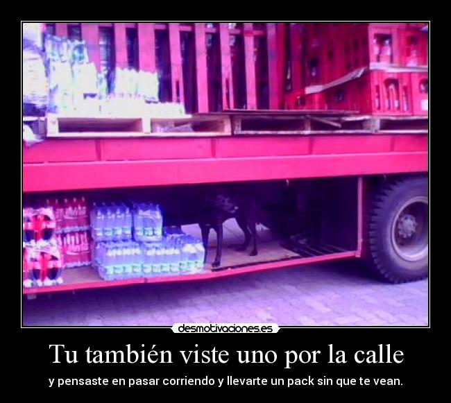 Tu también viste uno por la calle - 