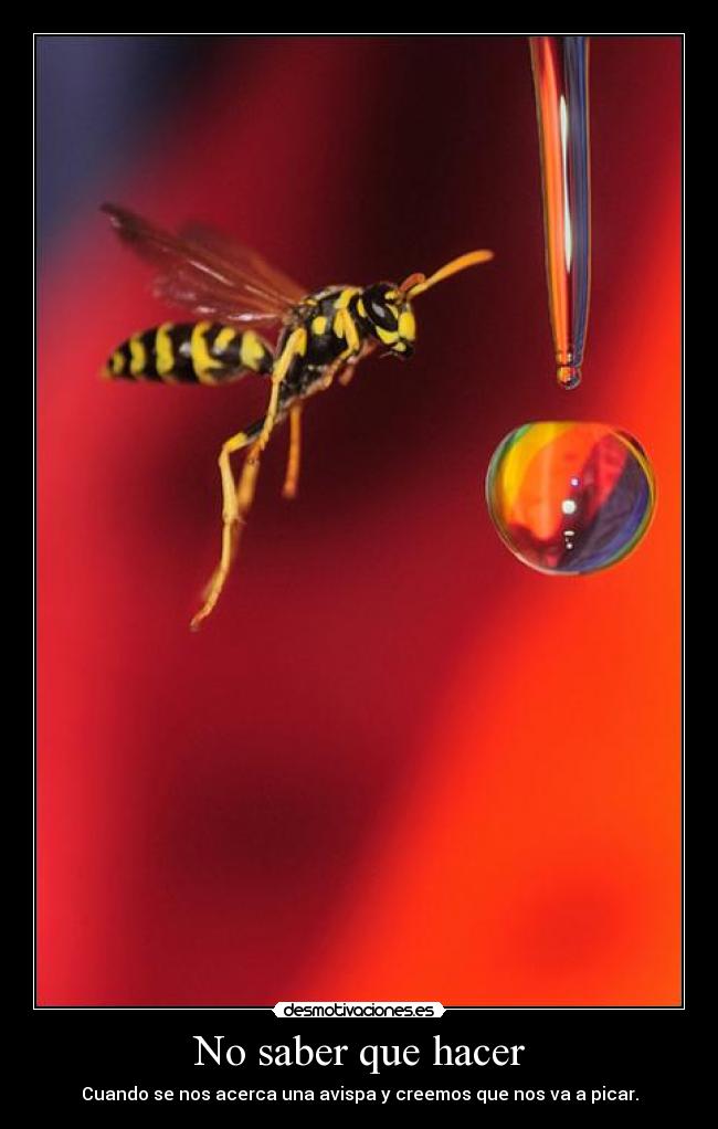 No saber que hacer - 