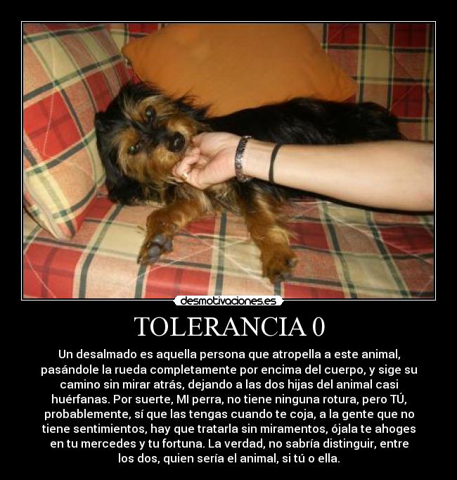 TOLERANCIA 0 -