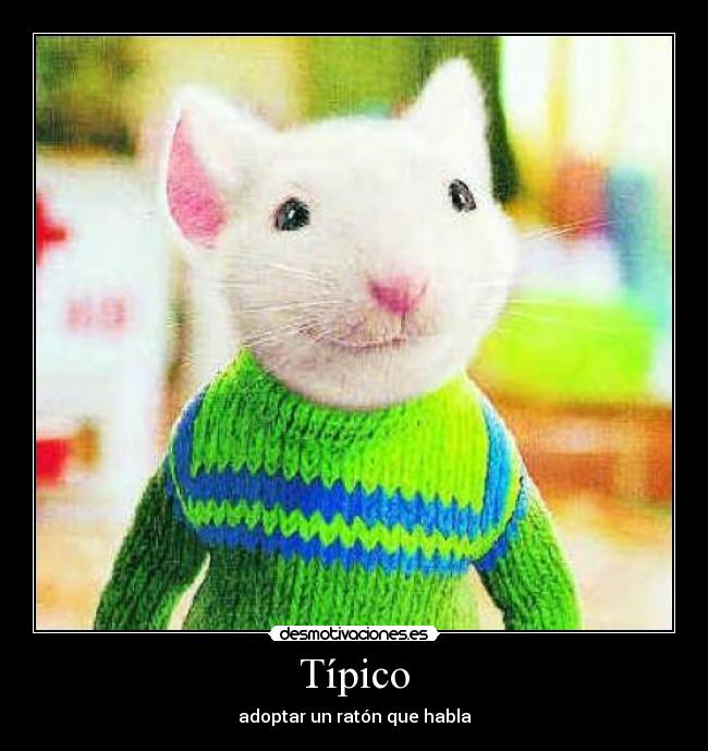 Típico - adoptar un ratón que habla