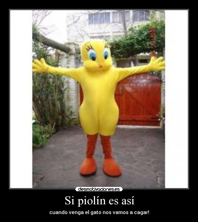 carteles piolin desmotivaciones