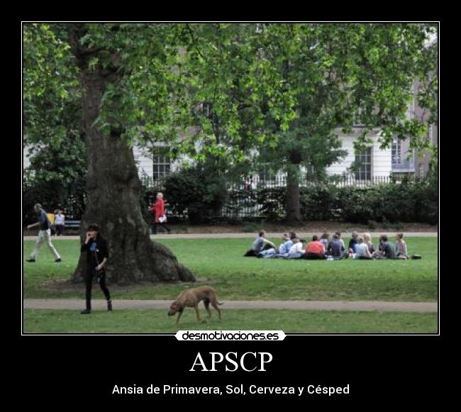 APSCP -