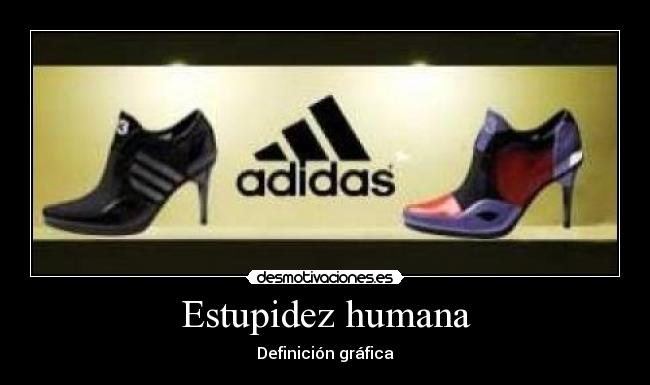 Estupidez humana - 