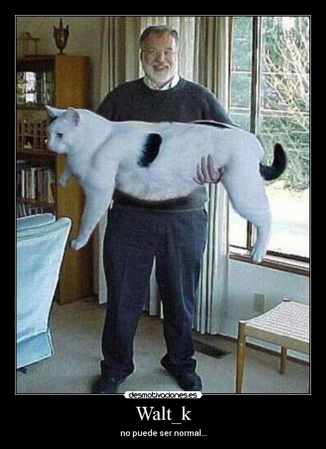 Walt_k - no puede ser normal...