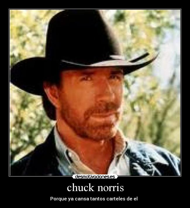 chuck norris - 