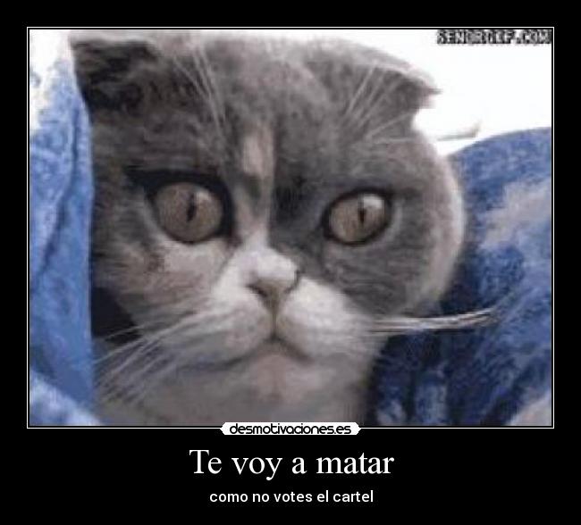 Te voy a matar - como no votes el cartel