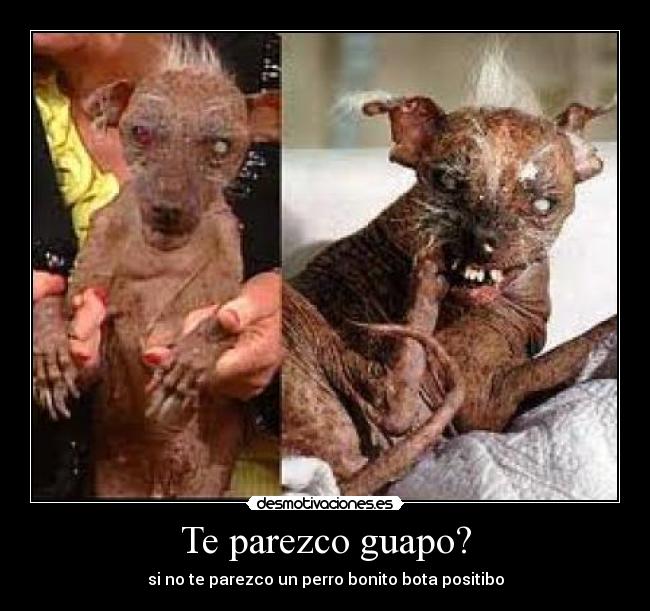 Te parezco guapo? - 