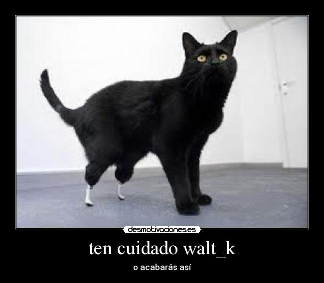 ten cuidado walt_k - 