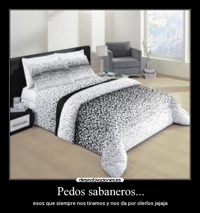 Pedos sabaneros... - 