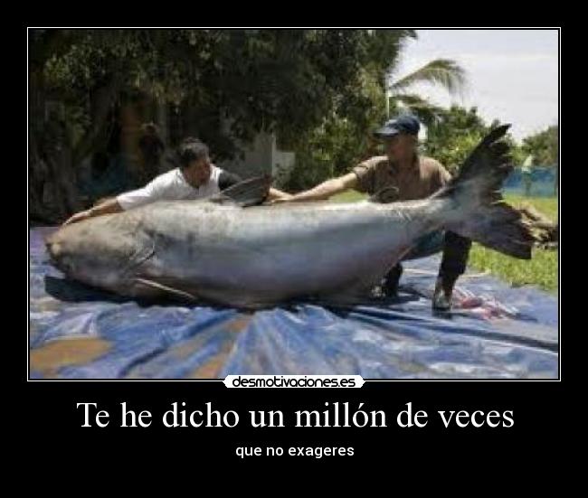 carteles desmotivaciones