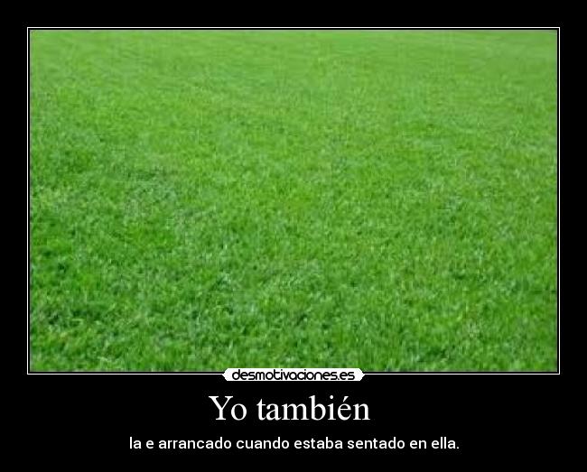 Yo también -