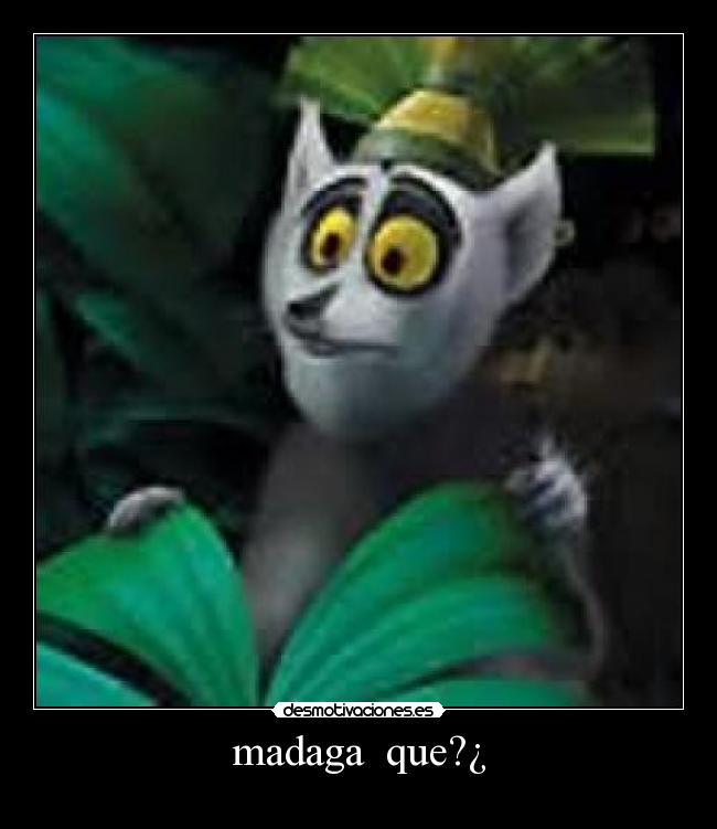 madaga que?¿ -