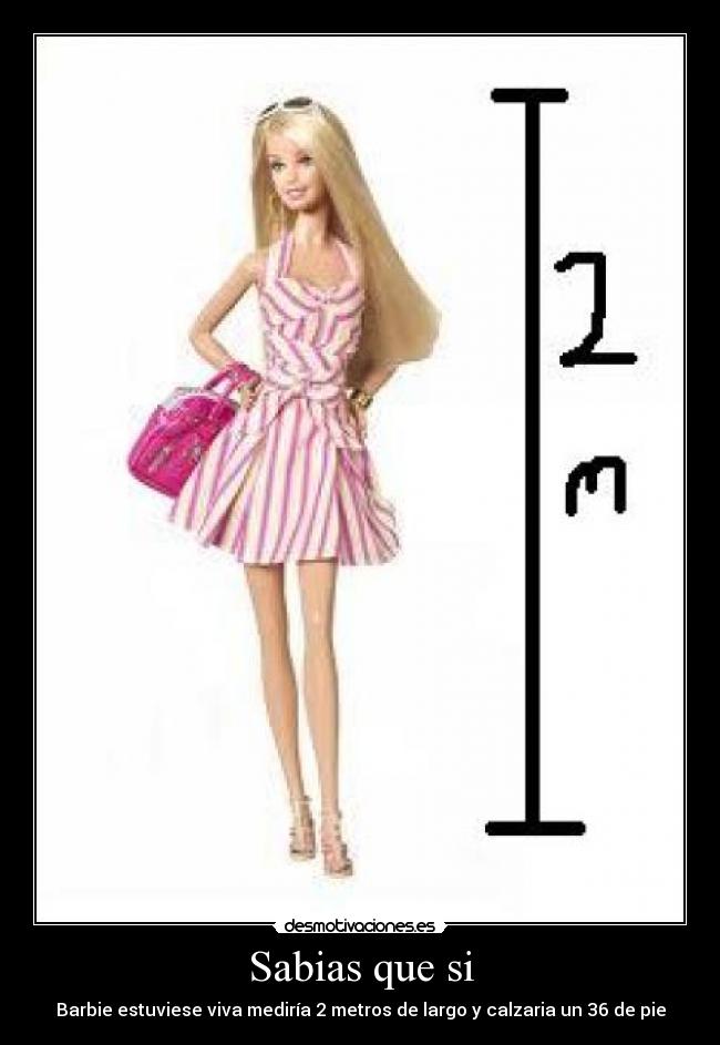 Sabias que si - Barbie estuviese viva mediría 2 metros de largo y calzaria un 36 de pie