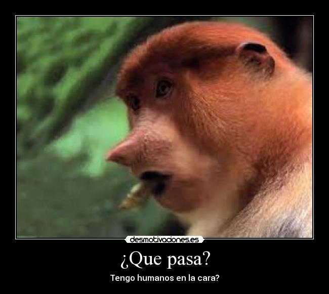 ¿Que pasa? -