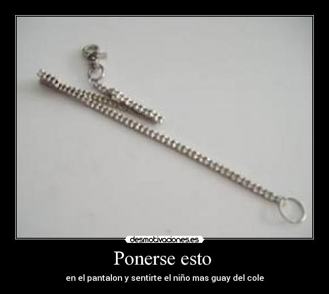 Ponerse esto  - 