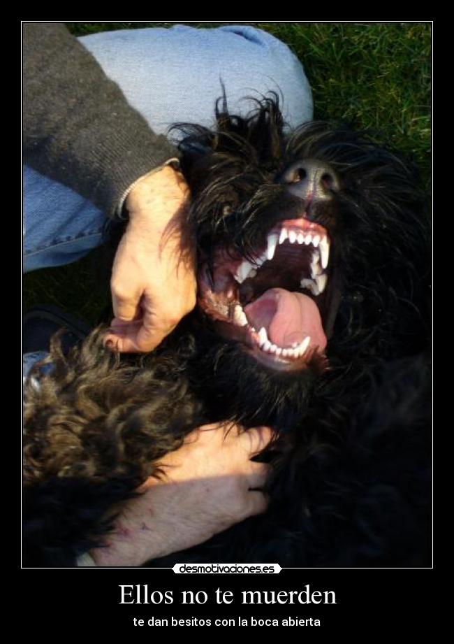 Ellos no te muerden -