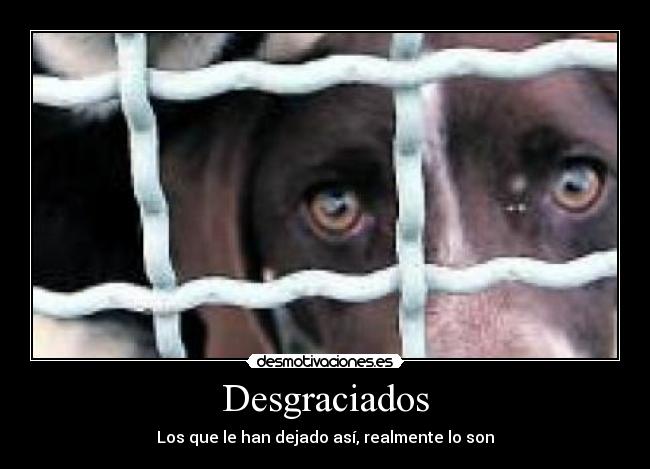 Desgraciados - Los que le han dejado así, realmente lo son