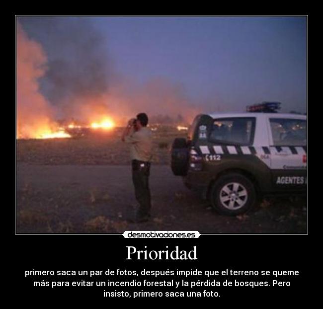 Prioridad - primero saca un par de fotos, después impide que el terreno se queme
más para evitar un incendio forestal y la pérdida de bosques. Pero
insisto, primero saca una foto.