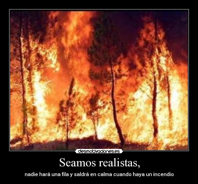 Seamos realistas, -