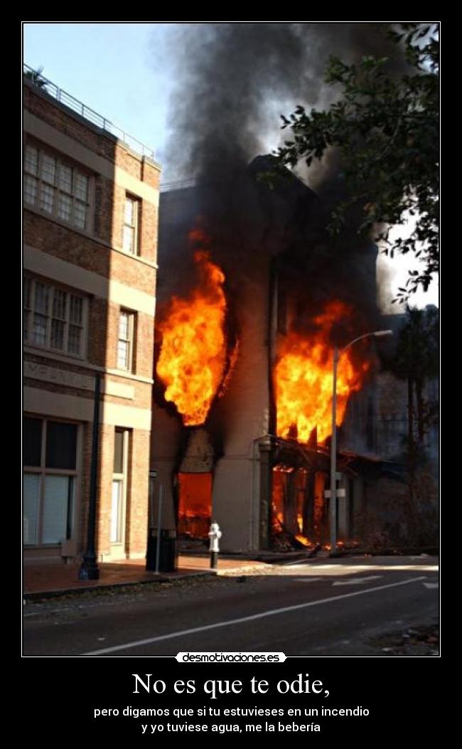No es que te odie, - pero digamos que si tu estuvieses en un incendio
y yo tuviese agua, me la bebería