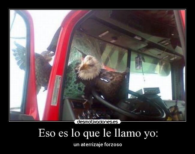 Eso es lo que le llamo yo: - un aterrizaje forzoso