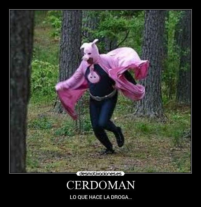 CERDOMAN - 