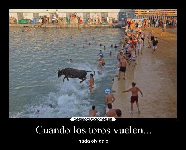 carteles toro desmotivaciones