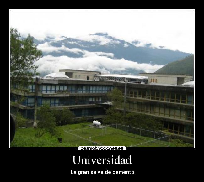 Universidad - La gran selva de cemento