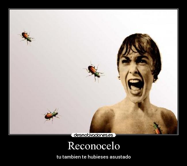 carteles asdf desmotivaciones