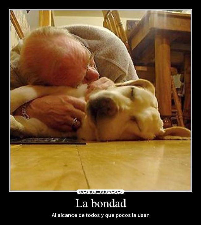 La bondad - 