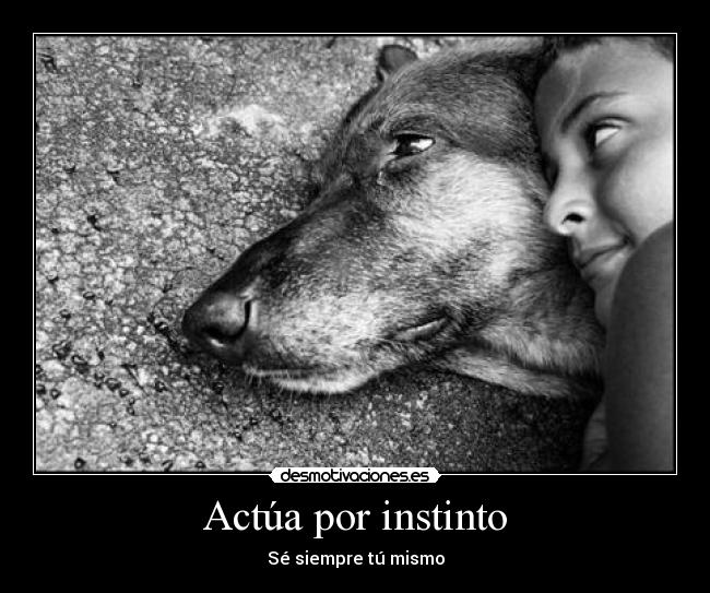 Actúa por instinto - 