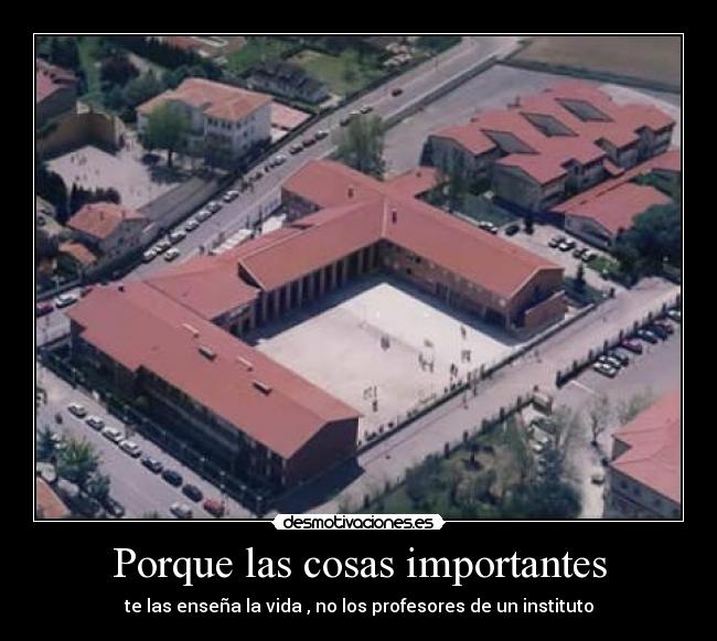 Porque las cosas importantes - te las enseña la vida , no los profesores de un instituto