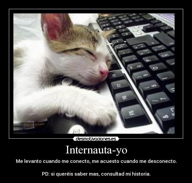 Internauta-yo - 
