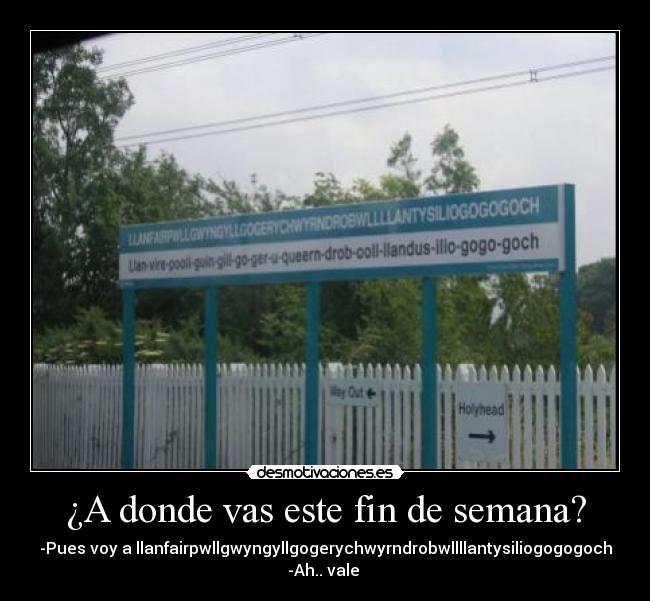 ¿A donde vas este fin de semana? - 