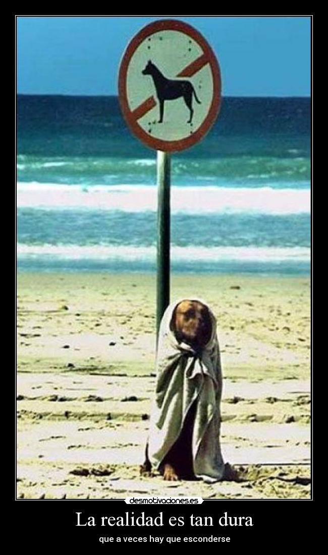 carteles realidad desmotivaciones