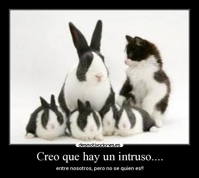 Creo que hay un intruso.... - entre nosotros, pero no se quien es!!