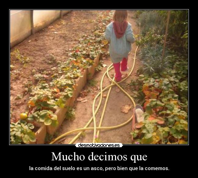 Mucho decimos que -