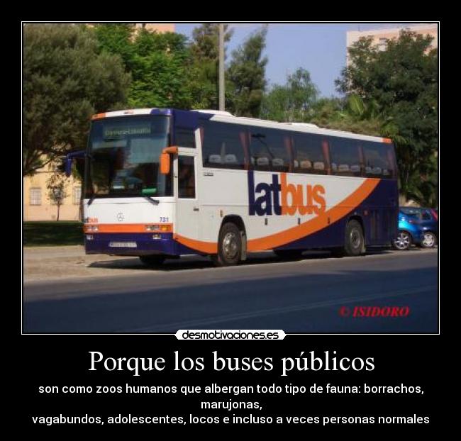 Porque los buses públicos - son como zoos humanos que albergan todo tipo de fauna: borrachos, marujonas,
vagabundos, adolescentes, locos e incluso a veces personas normales