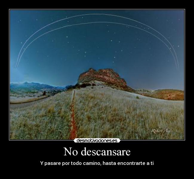 carteles amore desmotivaciones