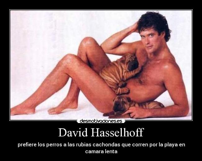 David Hasselhoff -
