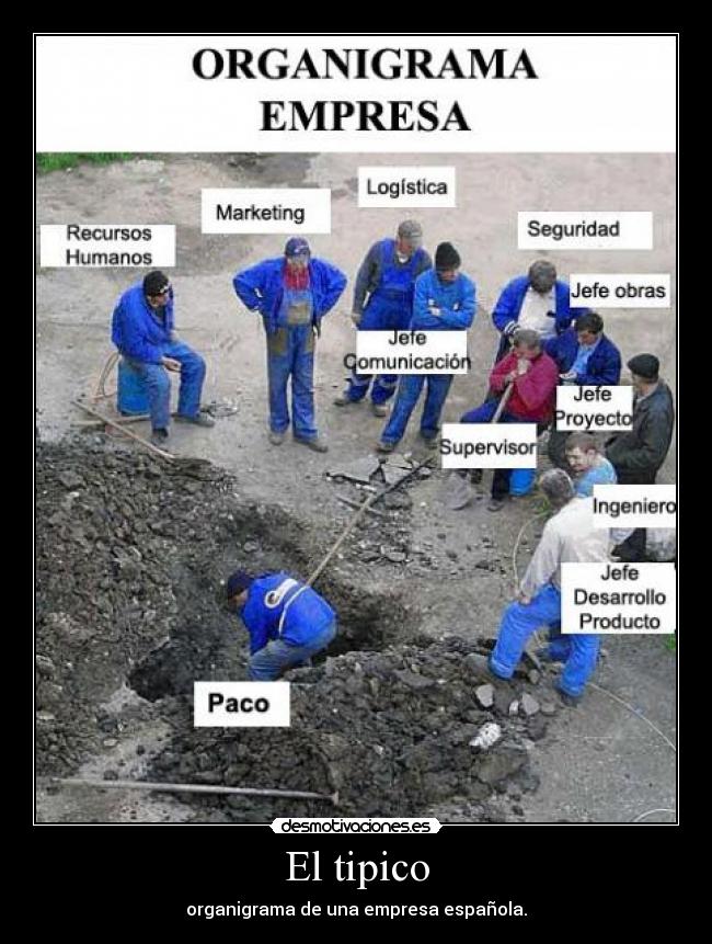 carteles solo voto positivo desmotivaciones