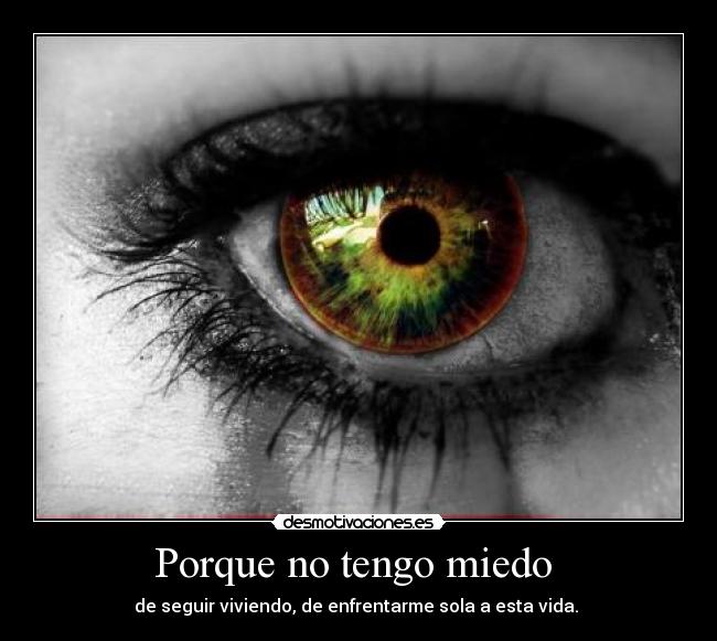Porque no tengo miedo  - 