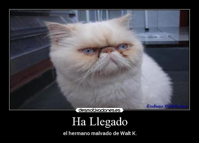 Ha Llegado -