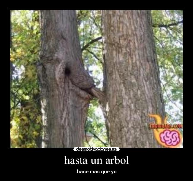 hasta un arbol - hace mas que yo