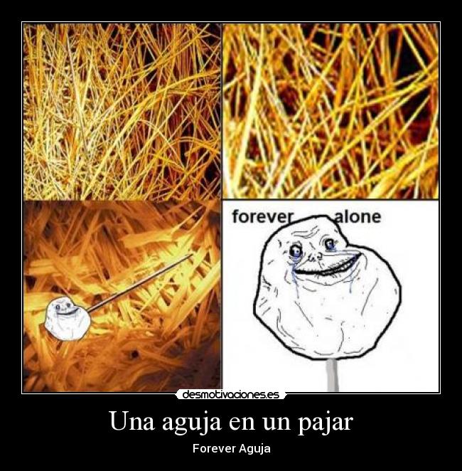 Una aguja en un pajar - Forever Aguja