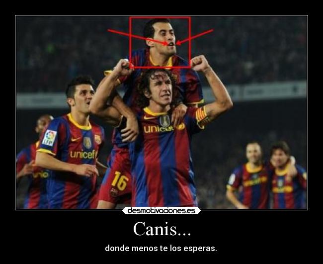 Canis... - donde menos te los esperas.
