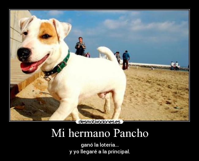 Mi hermano Pancho - 