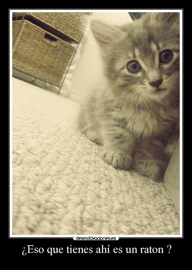 ¿Eso que tienes ahí es un raton ? -