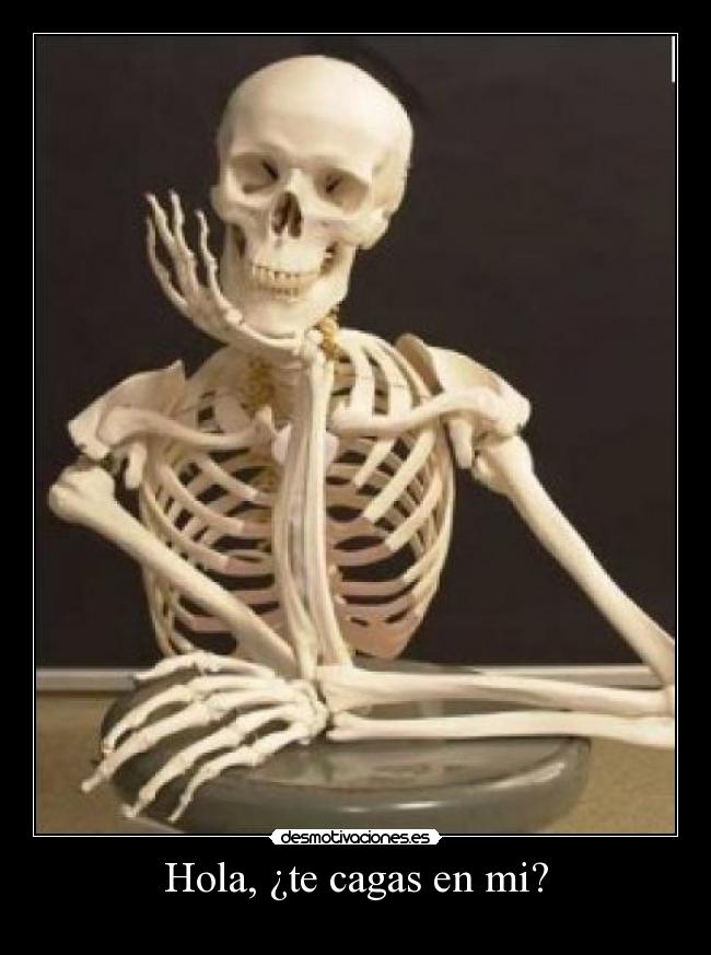 Hola, ¿te cagas en mi? - 